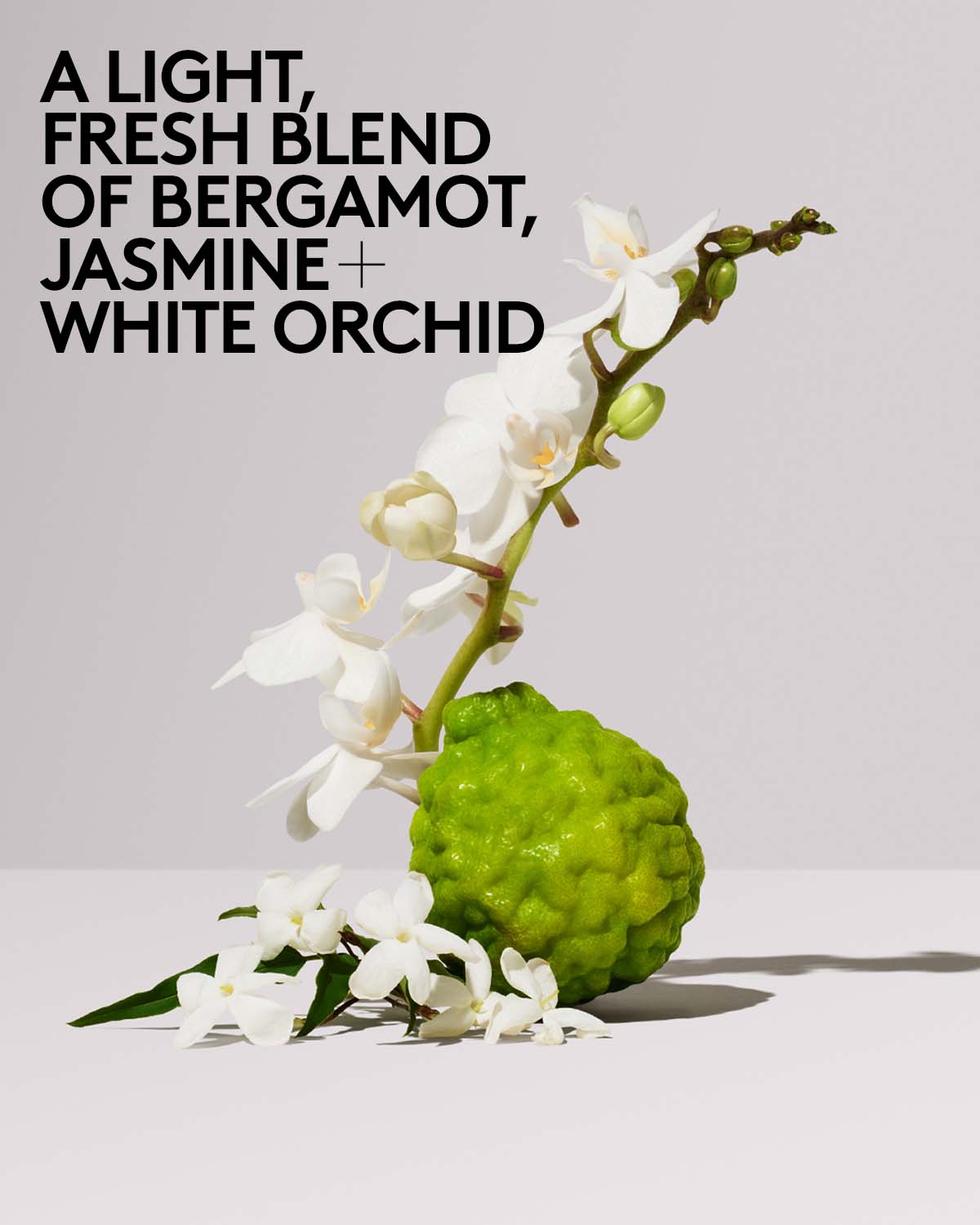 Butta Drop Whipped Oil Body Cream with Tropical Oils + Shea Butter — Fenty Fresh - Image 7